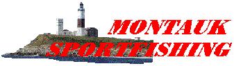 Montauk Sportsfishing